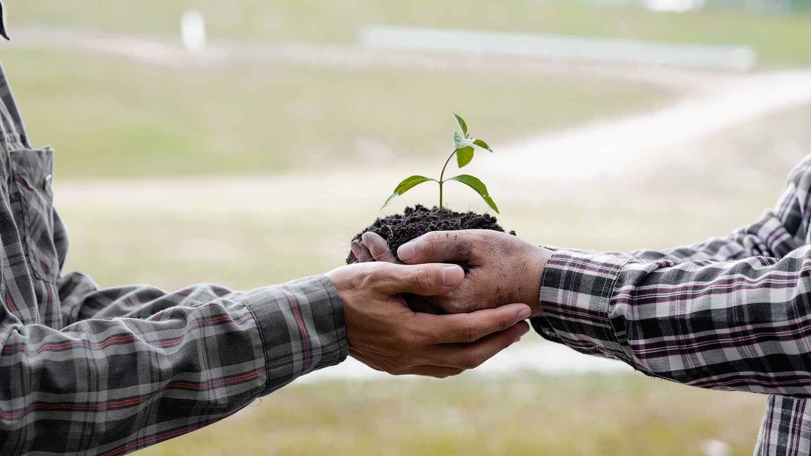 Small Partnerships That Create Lasting Local Impact