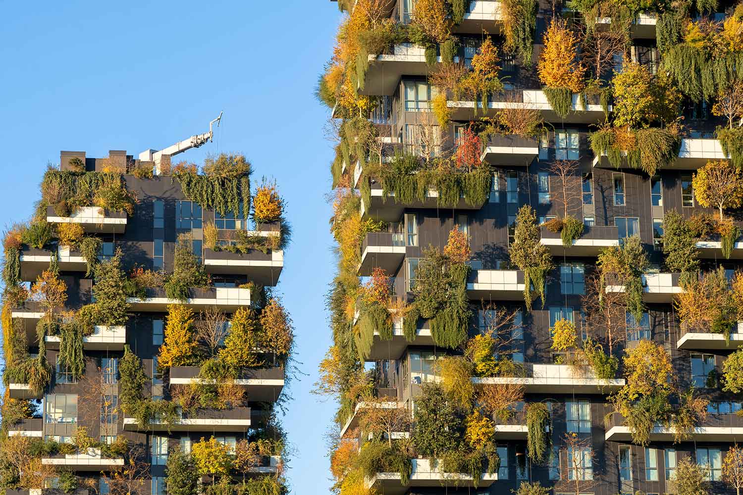 Top 5 Eco-Friendly Materials in Modern Construction